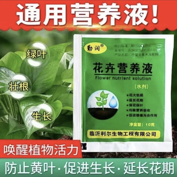 碗莲专用营养液碗莲专用营养液