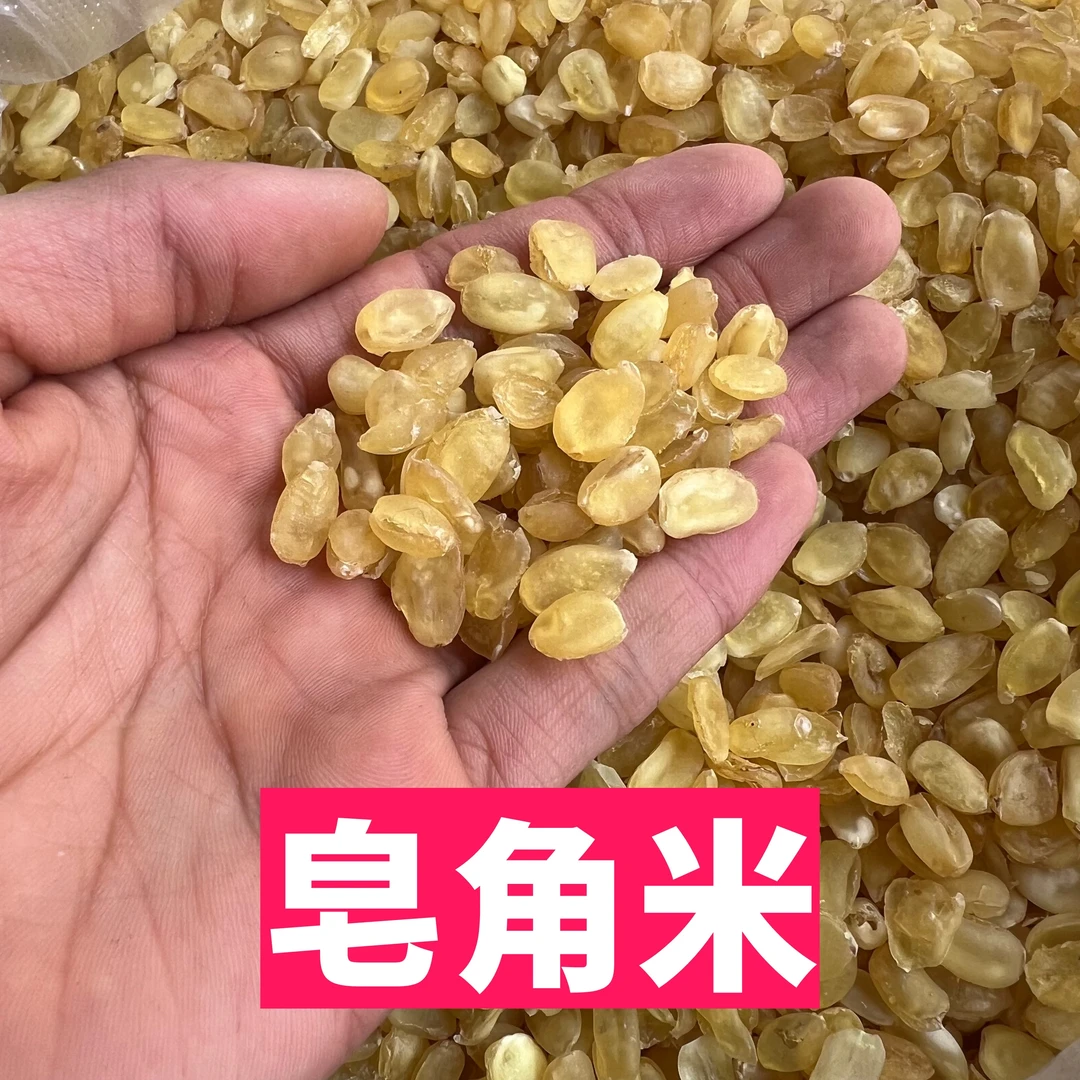 【小郑滋补】双荚皂角米