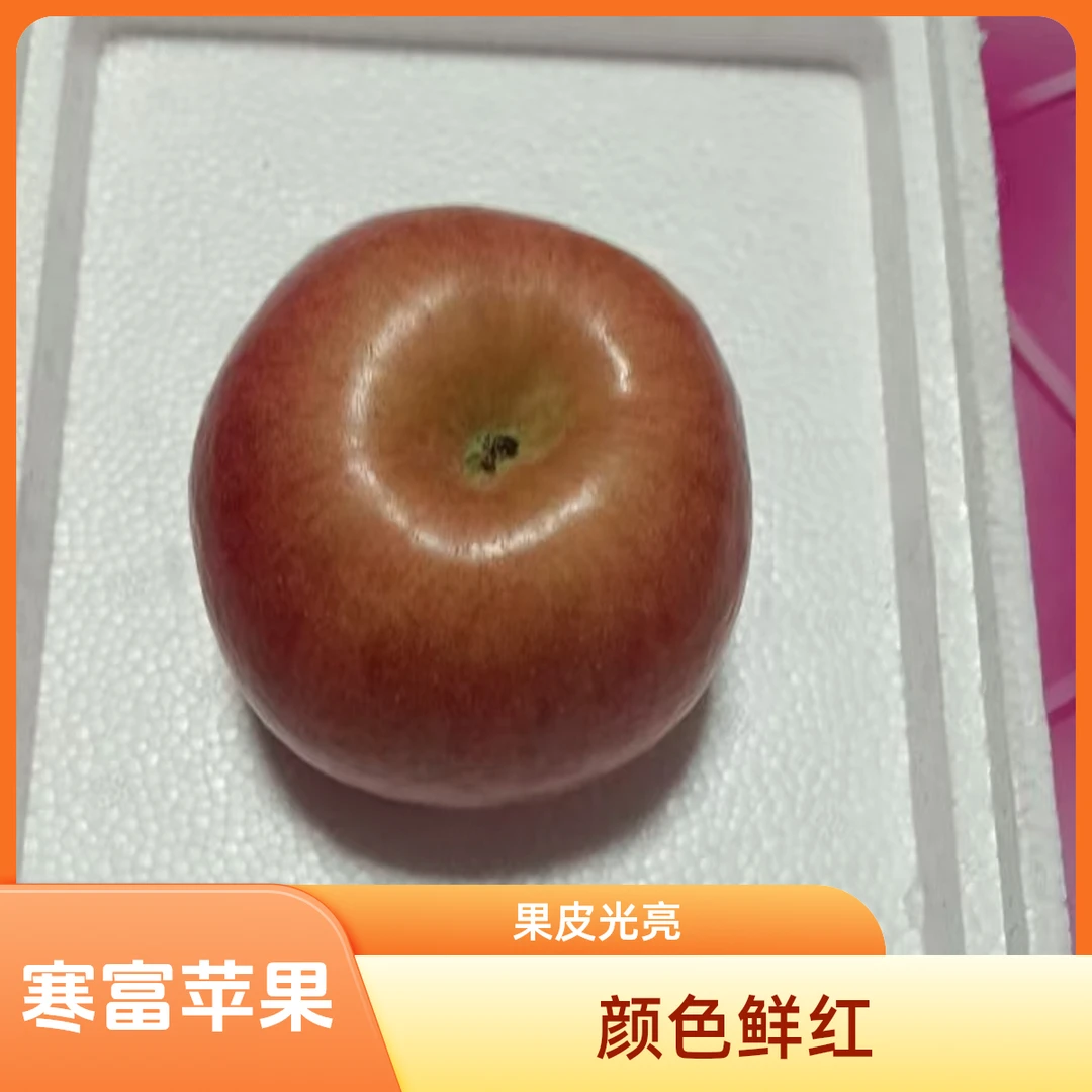 【绿野生鲜】普兰店沙包镇寒富苹果口感甜美清脆果肉紧密香甜
