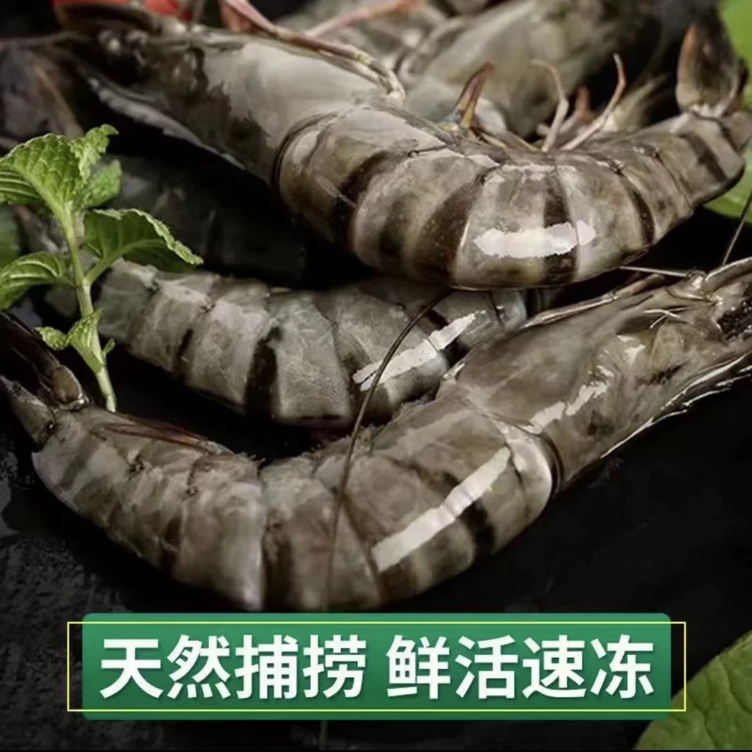 连云港发货鲜活速冻规格15个头黑虎虾14-16cm三斤/盒