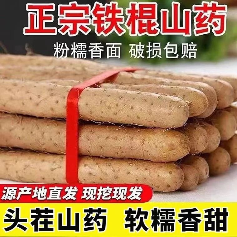 粉糯正宗铁棍山药小白嘴山药淮山药铁杆山药新鲜蔬菜多规格可选