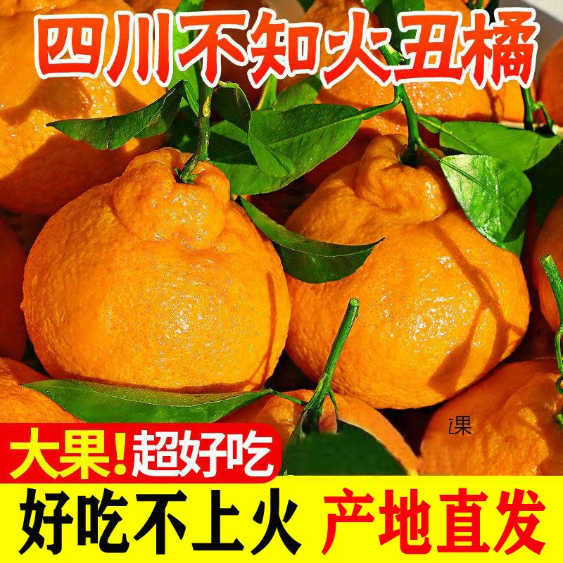 【寒冷地区专拍链接】四川不知火丑橘新鲜水果当季粑粑丑八怪柑橘