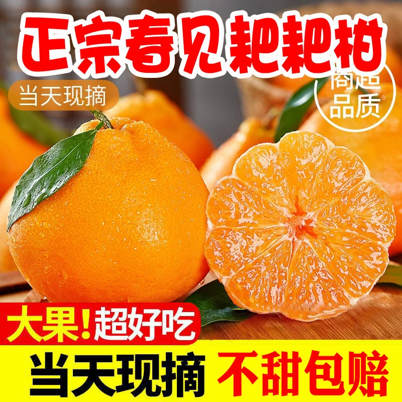 正宗春见耙耙柑新鲜纯甜口感整箱水果橘子丑橘柑橘桔应季爆汁皮薄