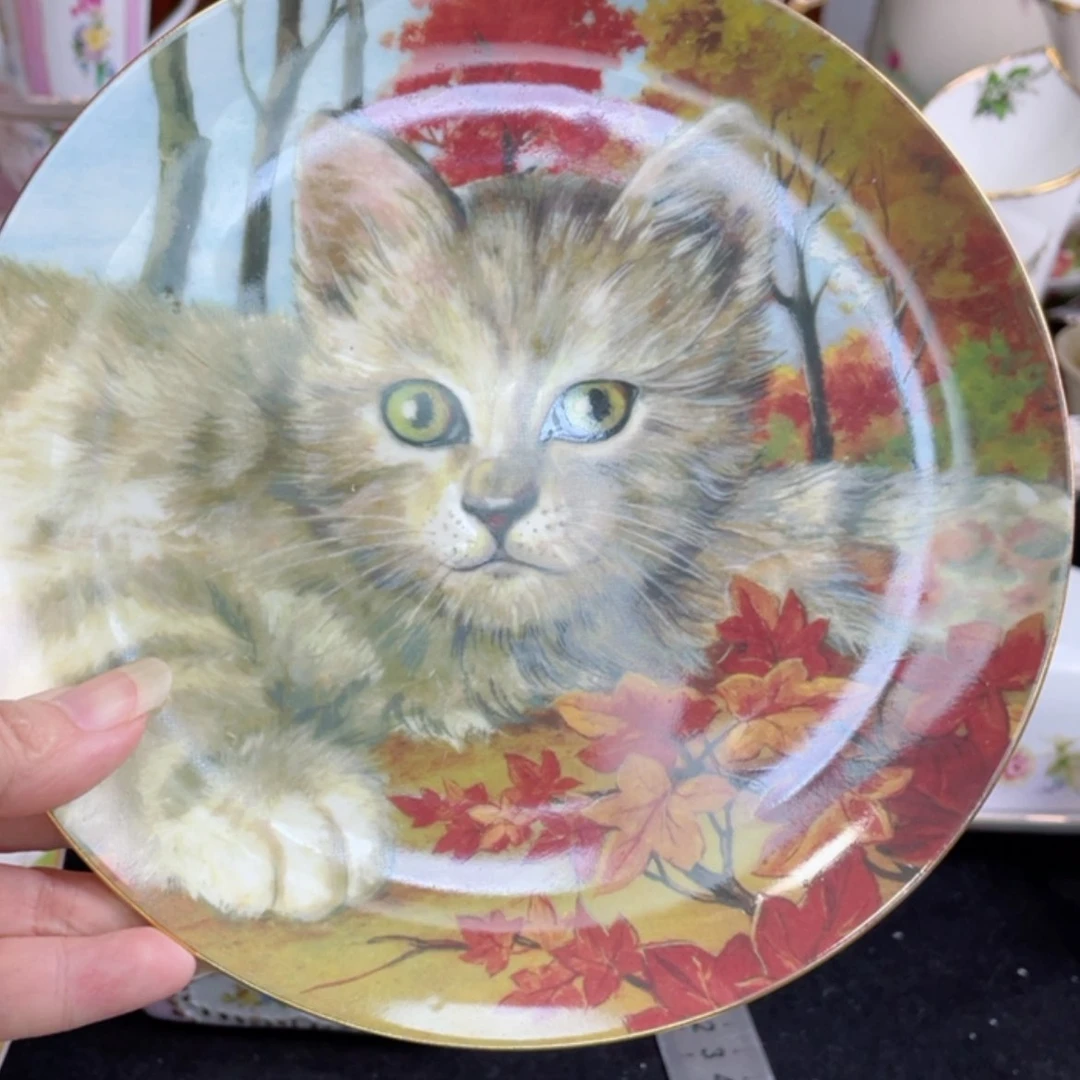 【闪购商品】瓷盘盘