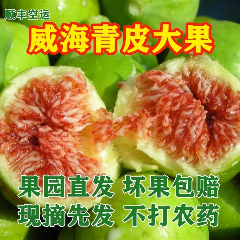 顺丰空运 山东威海新鲜无花果5/10斤装包邮树熟软糯香甜2024新果
