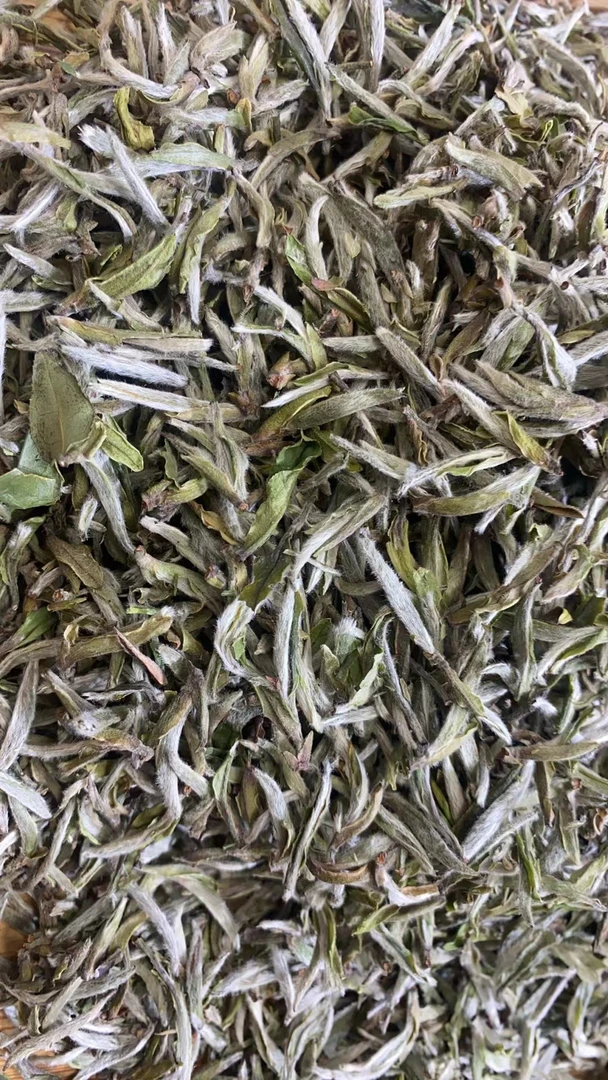 【康潮一品】花海 2023年李老师碳焙荒野白毫银针 散茶 白茶