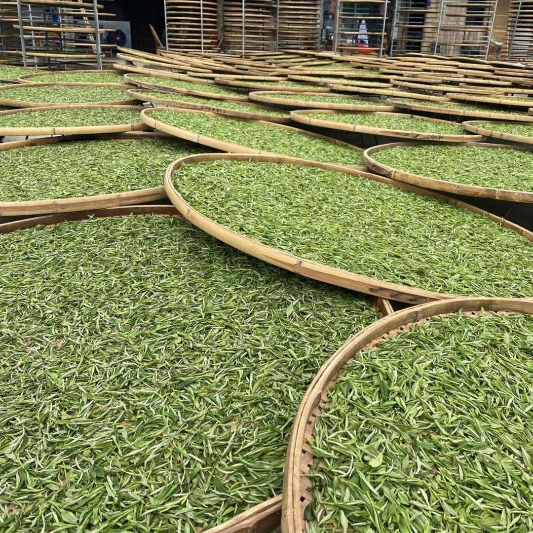 【康潮一品】开播浮力 第一波信任 200g装 白茶