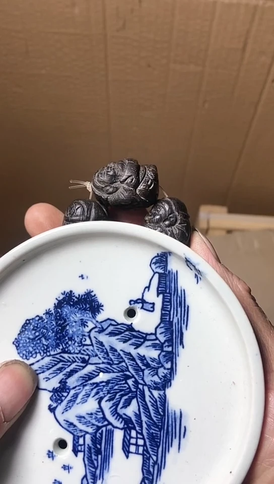 【闪购商品】瓷器杯子默认闪瓷