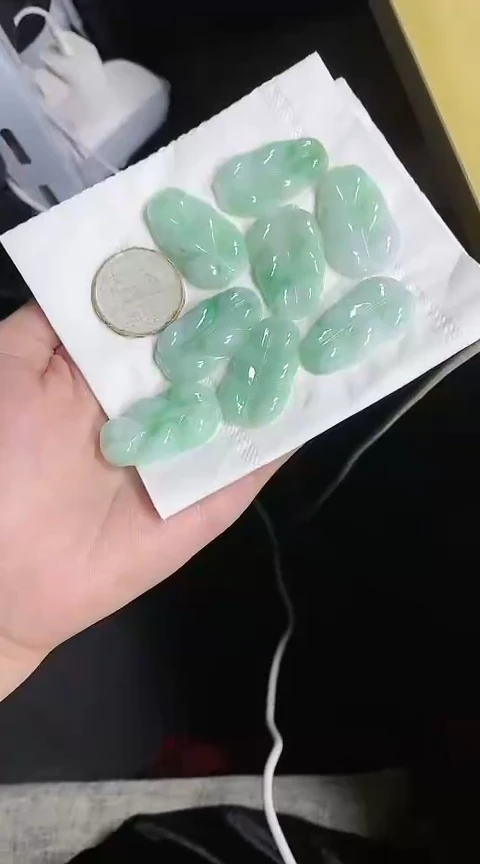 【闪购商品】翡翠颈饰未镶嵌67叶子多样性其一