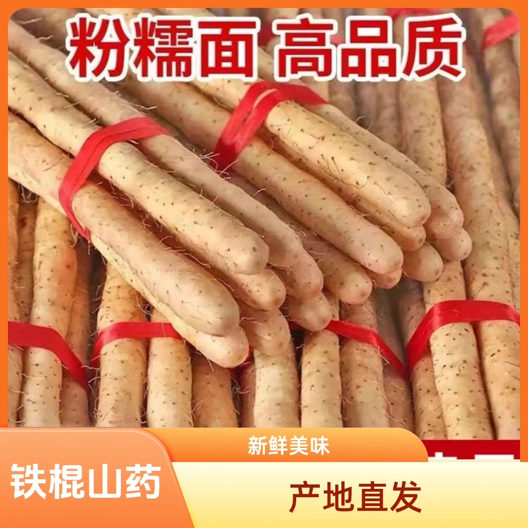 精选优质特大果55-70厘米产地直发新鲜营养高品质垆土地铁棍山药