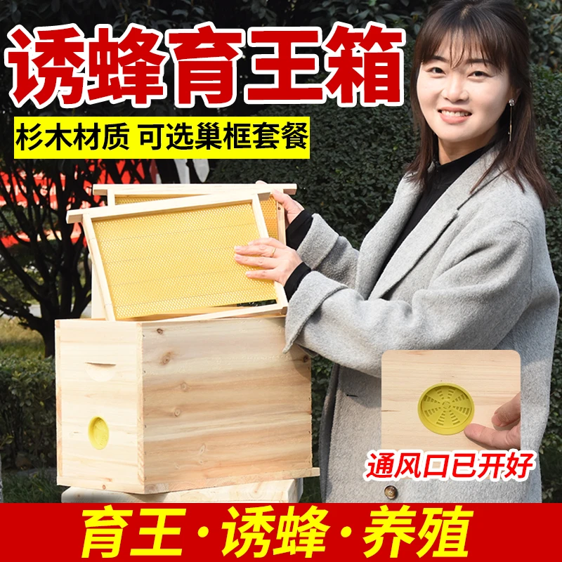 蜂大哥中蜂箱小型育王箱蜜蜂箱中蜂杉木诱蜂交尾箱烘干板养蜂工具