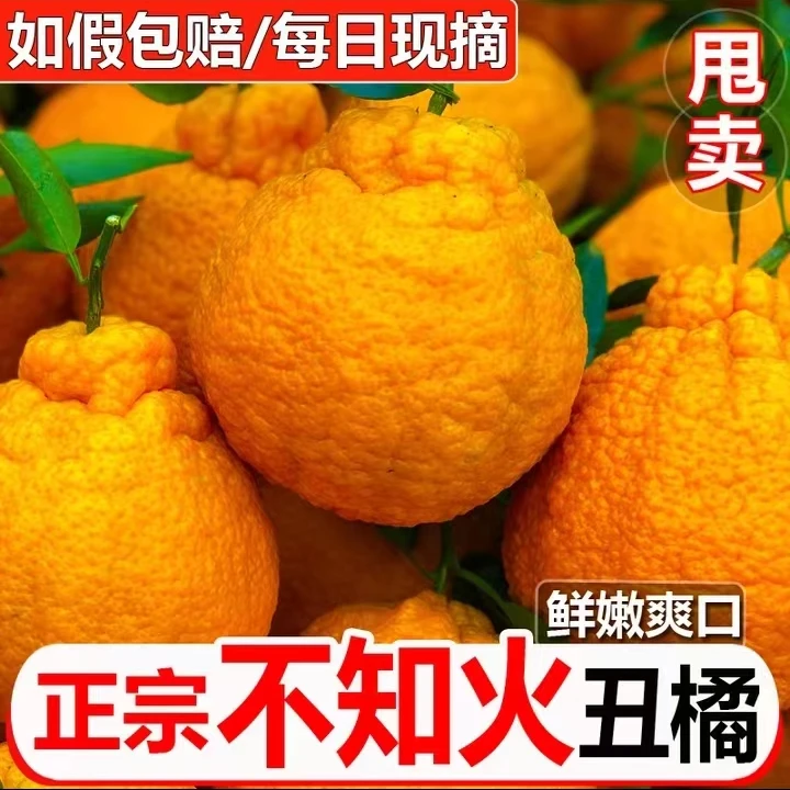 【宠粉福利】四川丑橘不知火应季水果现摘整箱