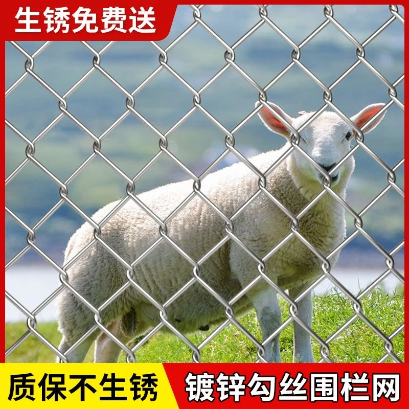 热镀锌钢丝勾花网格狗加粗加厚铁丝网圈地养殖牛羊果园防锈围栏网