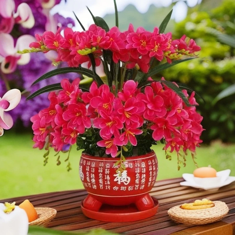 【四季开花】耐寒浓香型大花盆栽室内外懒人好养不死花卉大全驱蚊