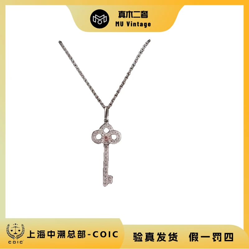 99新 Tiffany & Co./蒂芙尼 铂金 满钻中号鸢尾花钥匙项链