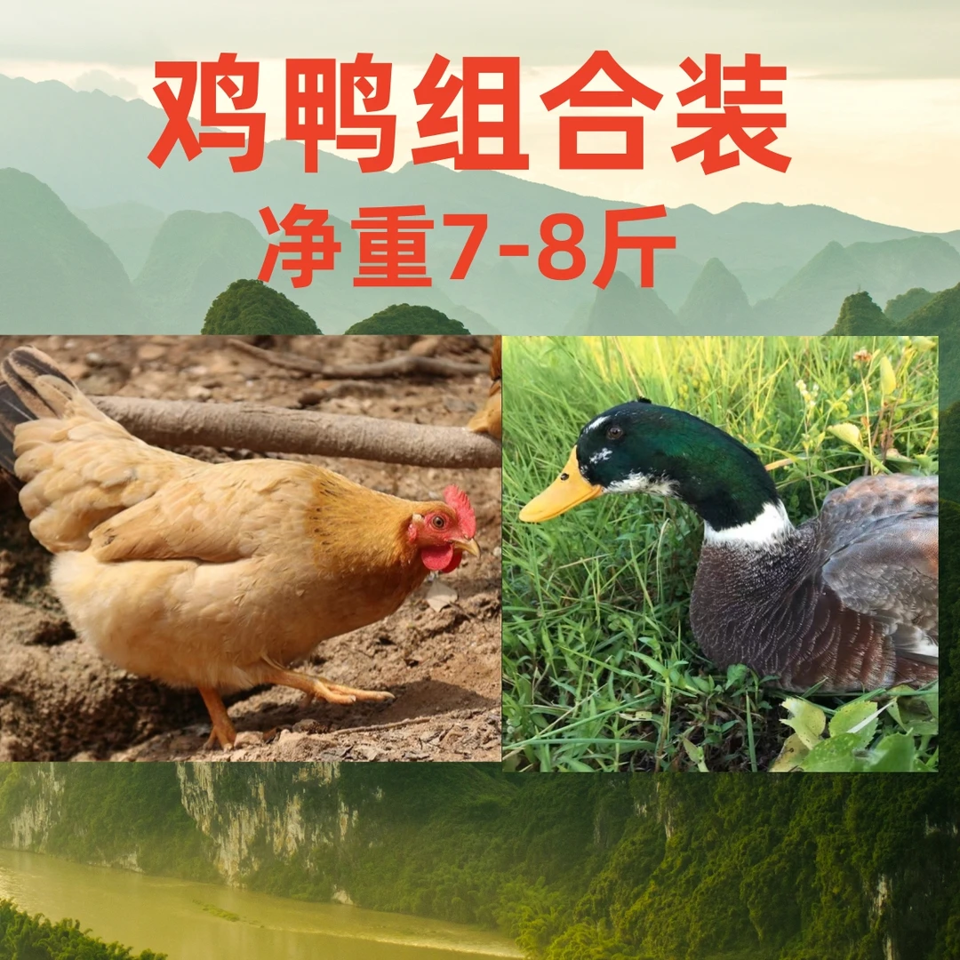 超值鸡鸭组合装【母鸡+青头鸭】到手净重7-8斤