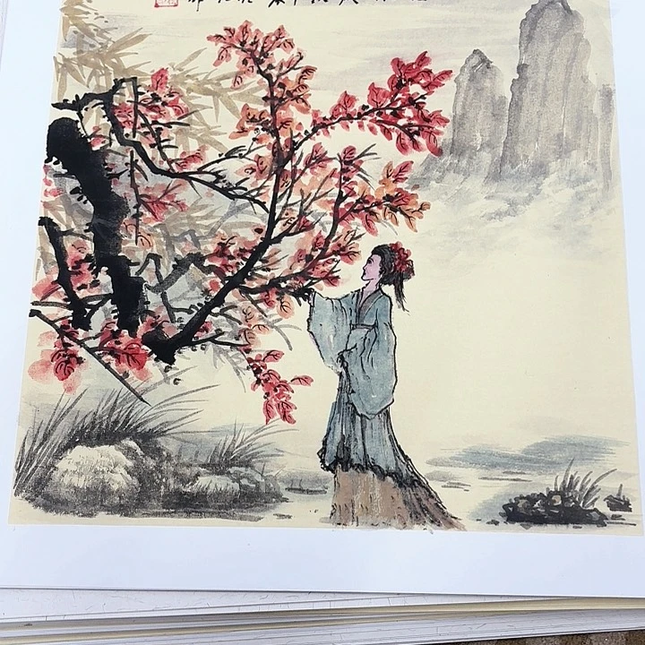 绘画花鸟的翅膀和翅膀都是白色