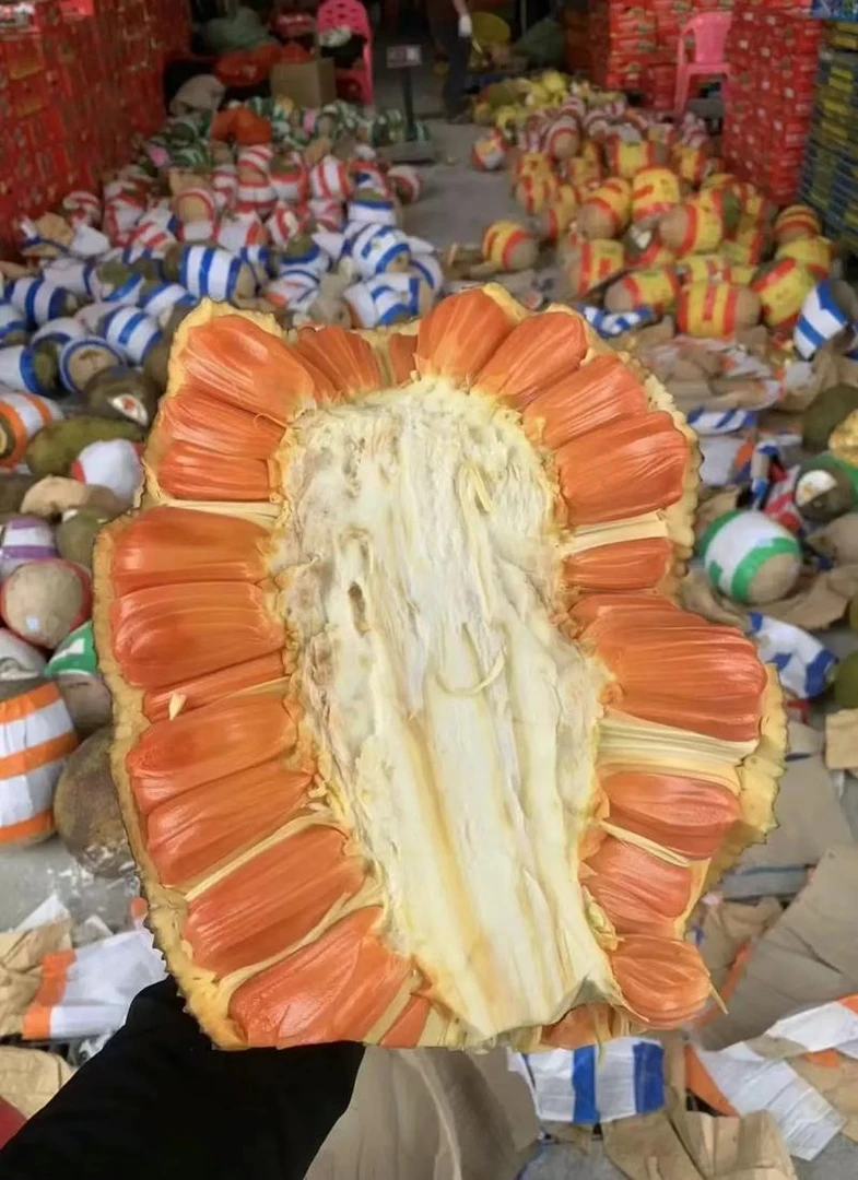 【整果】印尼红菠萝蜜(半个)