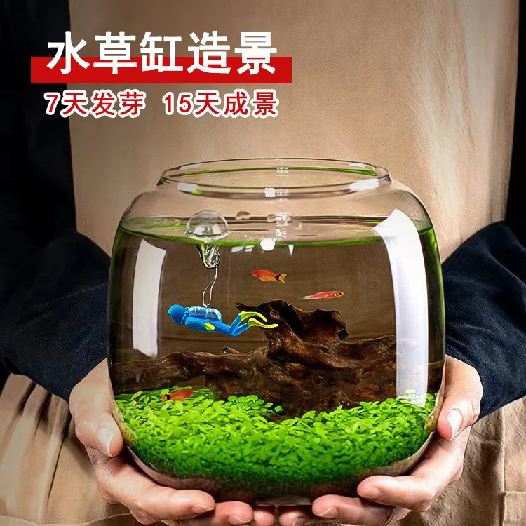 水草缸水草种植桌面微景观水草种子生态鱼缸造景装饰手工植物水培