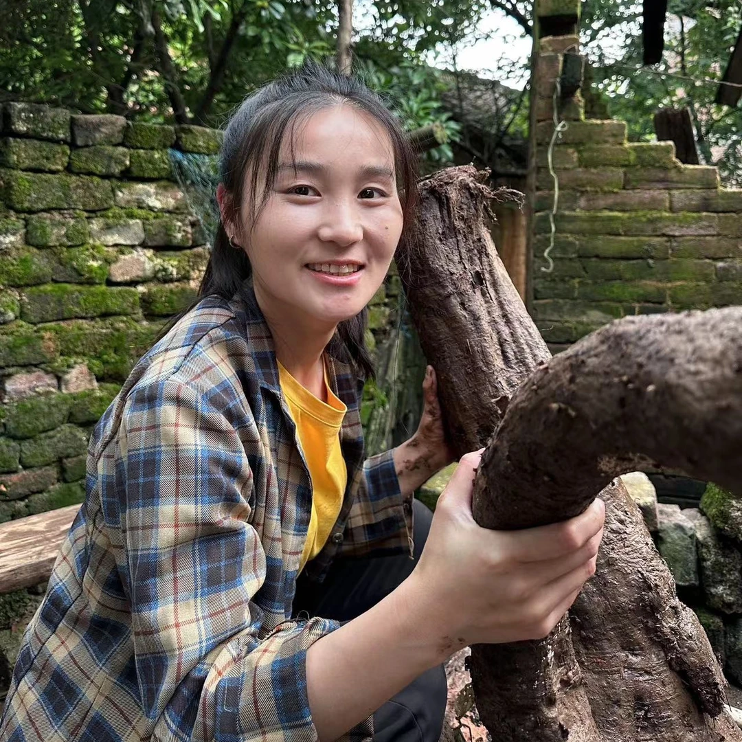 杨晨在农村 农家制作野生葛根粉深山特产500克/瓶 传统营养干净
