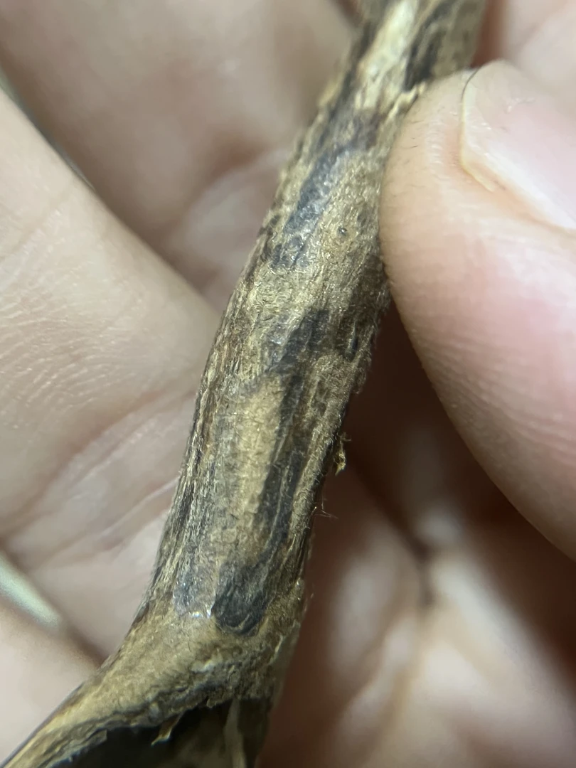沉香奇楠香薰料块 熏香