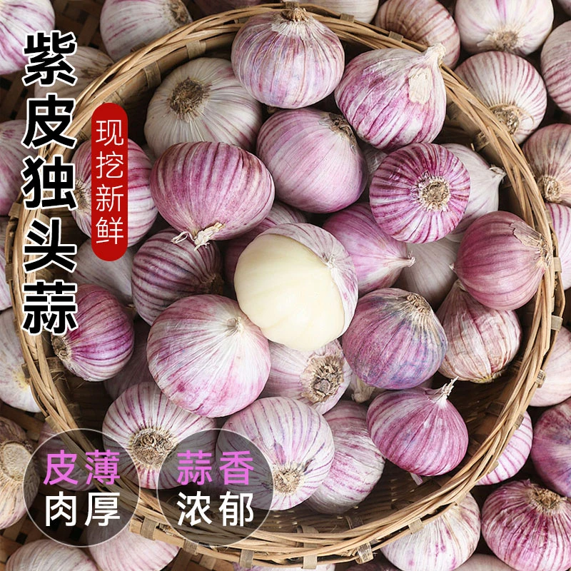 2024新果独头蒜云南紫皮大蒜头新鲜干蒜紫皮独蒜辣蔬菜当季
