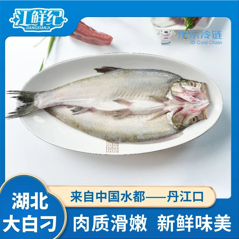 丹江翘嘴鱼(350-400g/条)*5条湖北特产大白刁翘嘴鲌淡水鱼鲜美