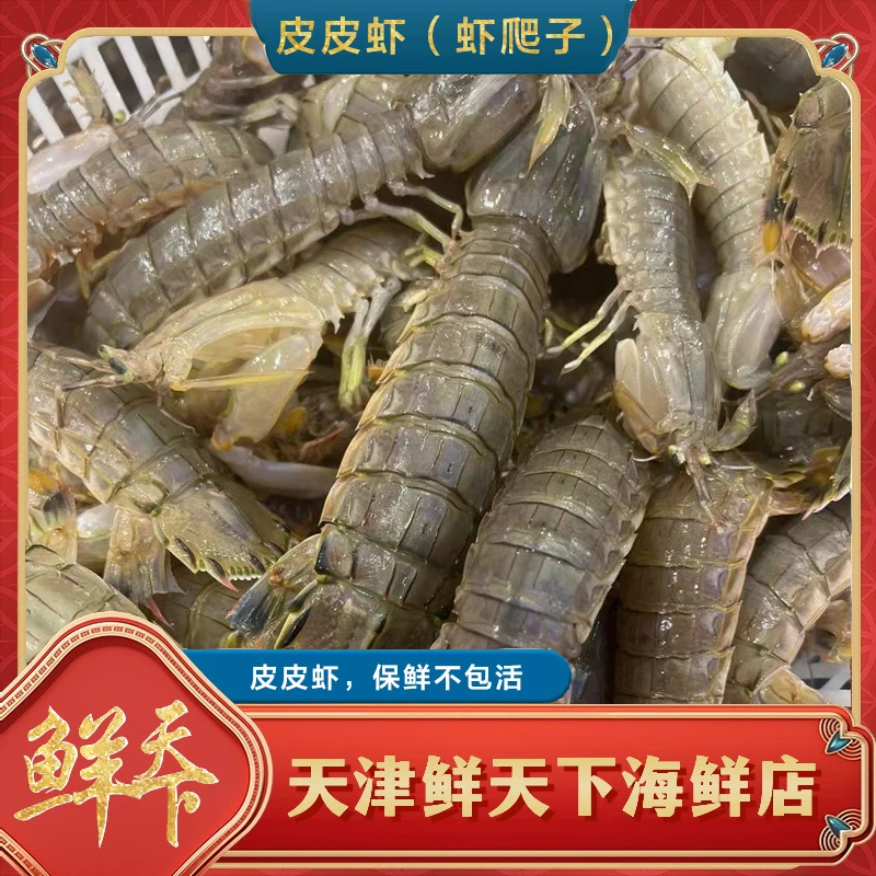 【保鲜不保活】天津本地皮皮虾3斤起拍一斤18-21条左右 天津发货