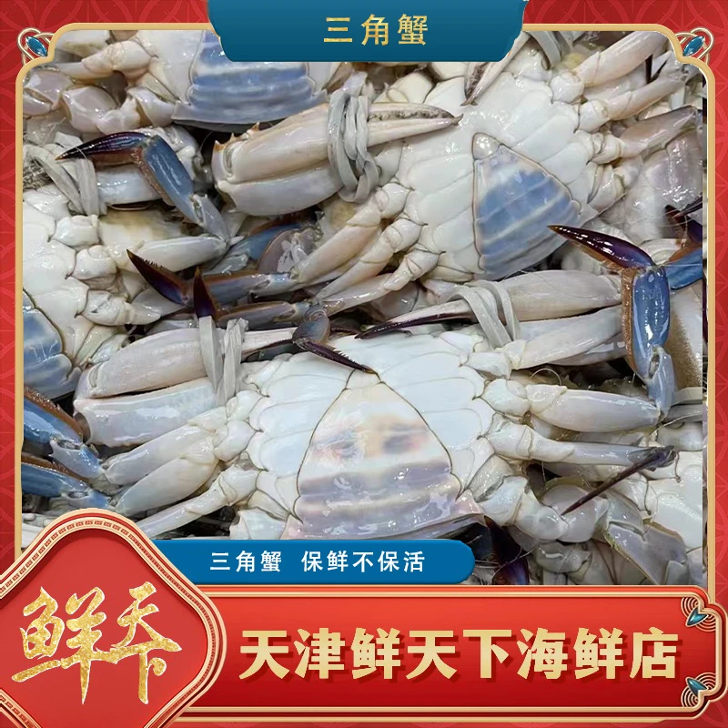 【保鲜不保活】大公+三角 3斤起拍大公一斤2-3只三角一斤3-5只 掉爪