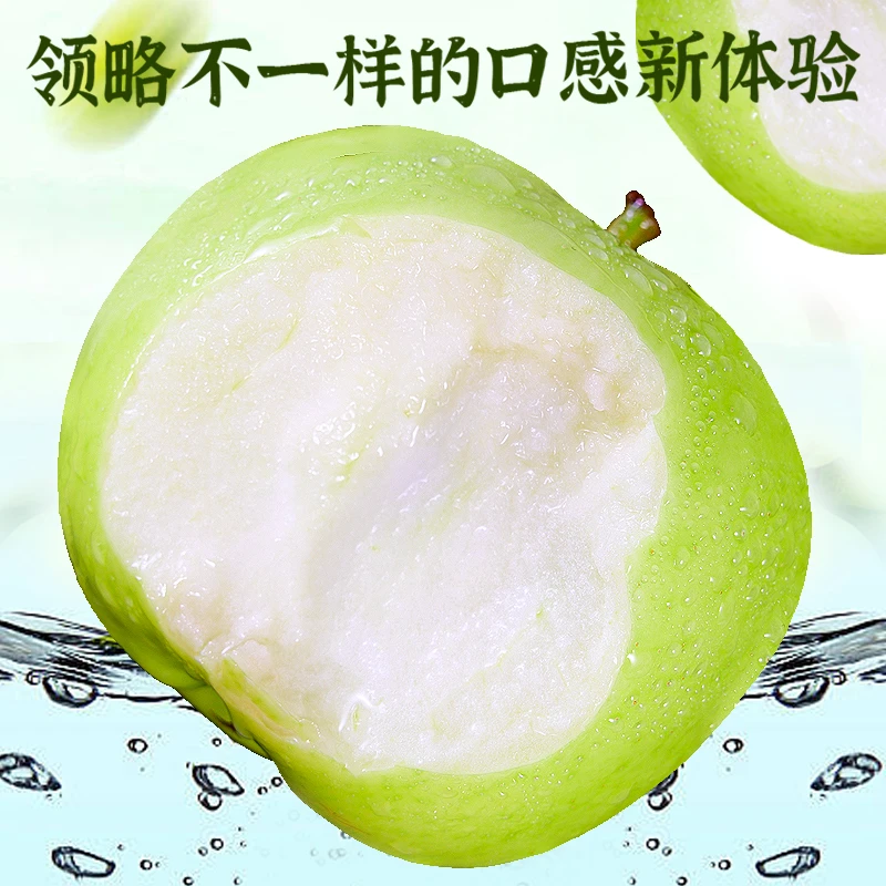 果中邢【2025现摘】青苹果新鲜水果应季小绿平果酸甜脆爽孕妇水果
