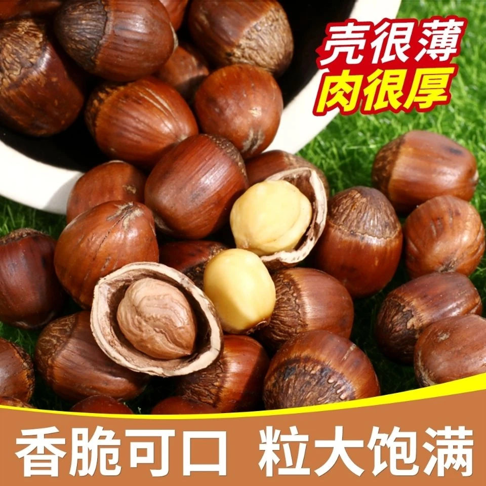 【东北特产】2025新货炒熟东北大榛子笨炒榛子大颗粒2斤4斤顺丰包邮