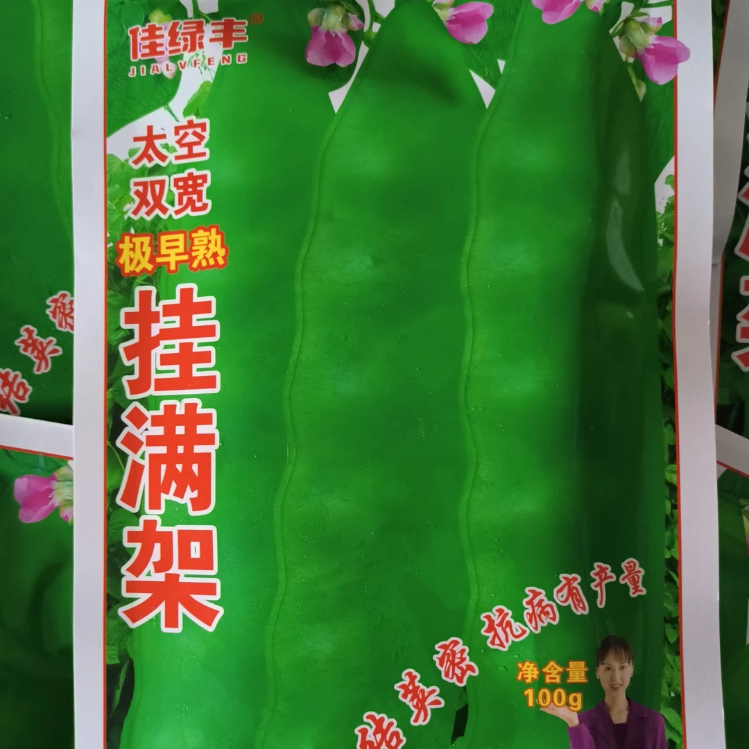 挂满架油豆角籽籽