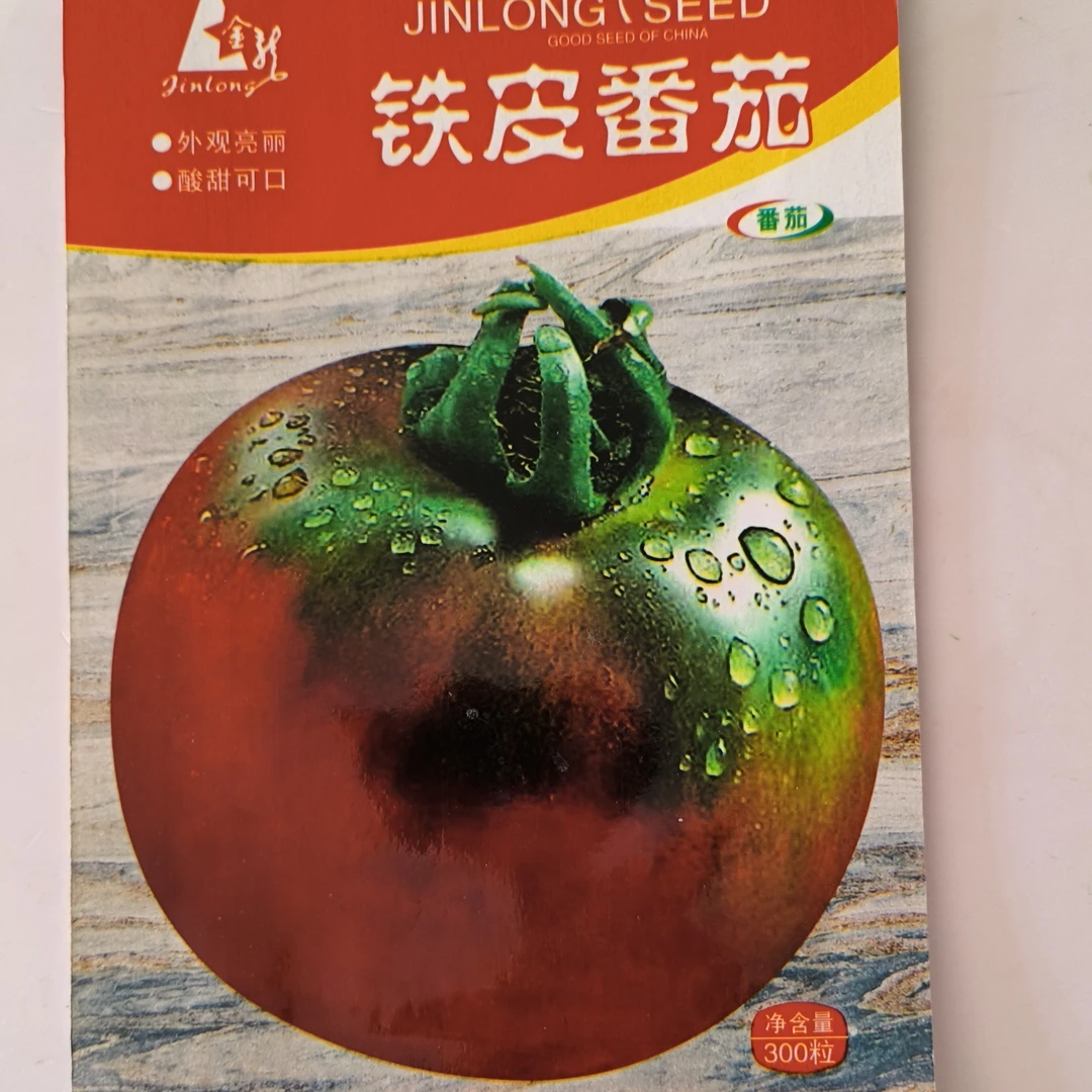 铁皮番茄柿子籽福利价新籽300粒籽