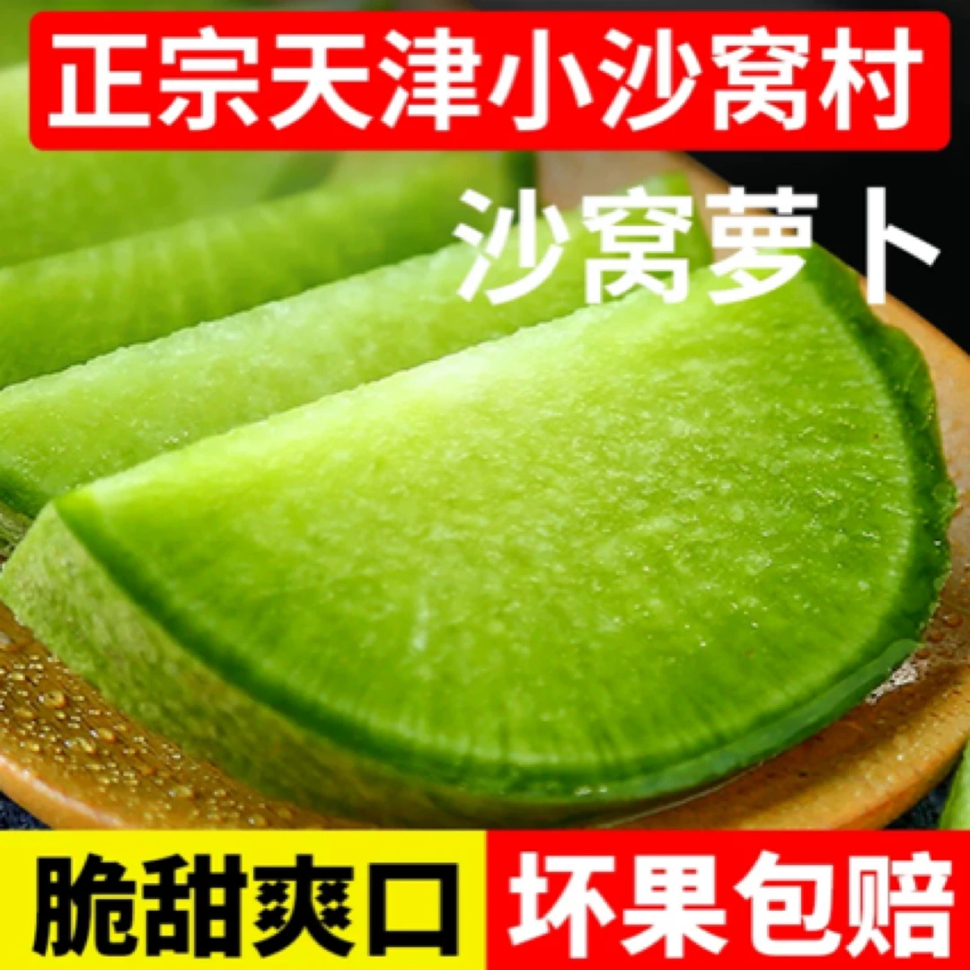 现摘现发天津沙窝萝卜脆嫩多汁