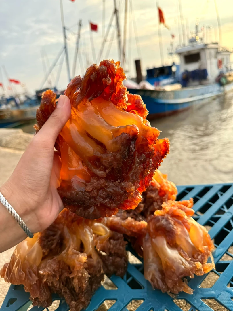 松松海鲜精品杭州湾海蜇头＞5斤，盐渍非即食硬脆鲜甜京东包邮