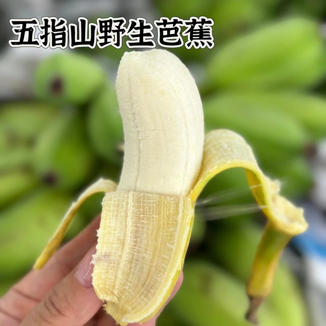 海南五指山野生芭蕉香蕉新鲜水果高山蕉儿童水果孕妇水果4斤包邮