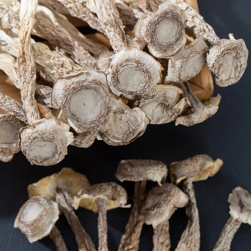 【阿妹优品】精选鹿茸菇250g/500g