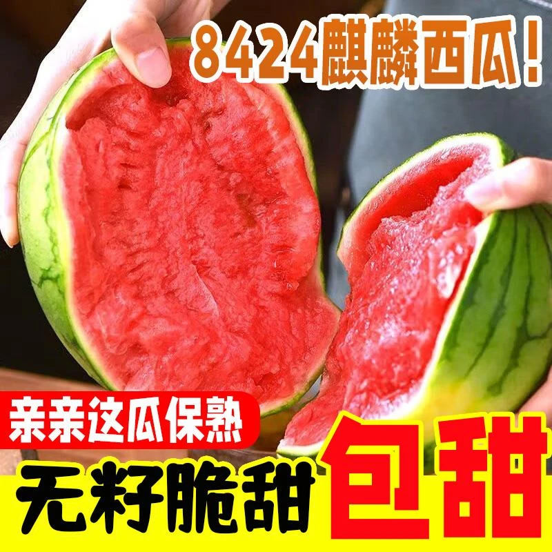 美都麒麟西瓜新鲜水果孕妇8424冰糖无籽沙瓤瓜爆甜多汁应当季包邮