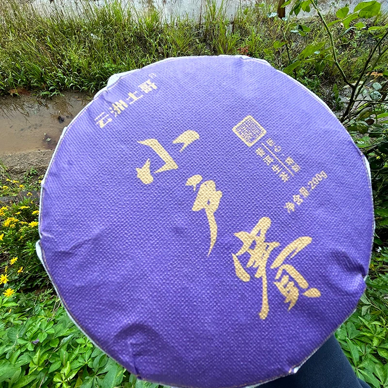2021年春茶小户赛头春（普洱茶）生茶紧压茶饼茶200克