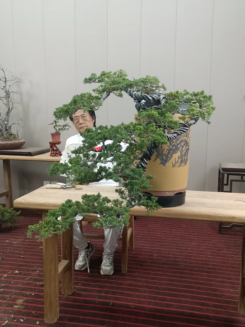 王恒亮精选艺术盆景