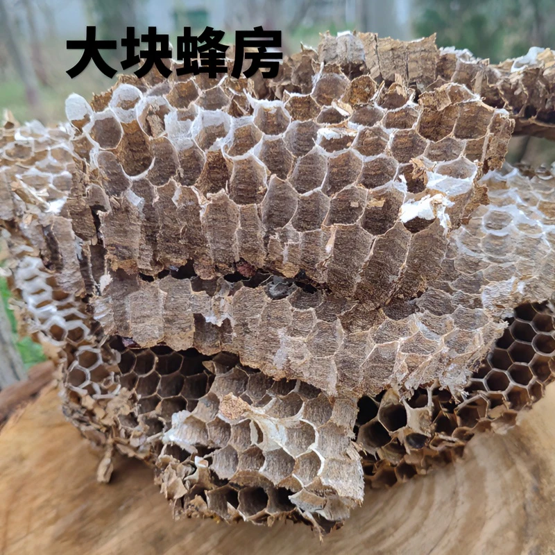 中药材蜂房马蜂窝蜂房巢食用胡蜂房露天蜂房蜂巢蜂房粉马蜂蜂窝