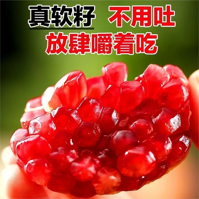 四川会理全软籽石榴皮薄饱满多汁新鲜水果5/8斤坏果包赔精品石榴