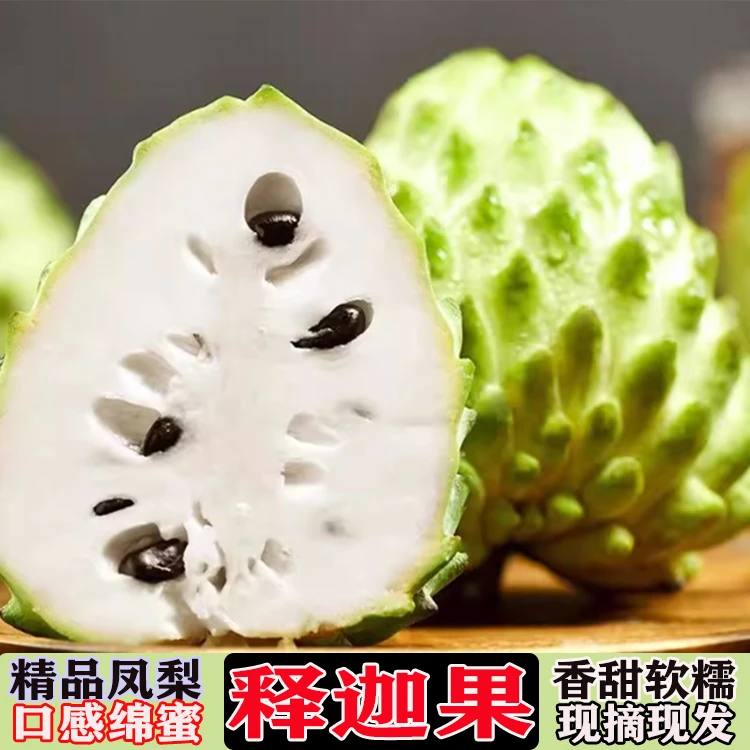 【五】释迦果新鲜水果凤梨番荔枝5斤牛奶释迦果摩尼果孕妇鲜果1斤