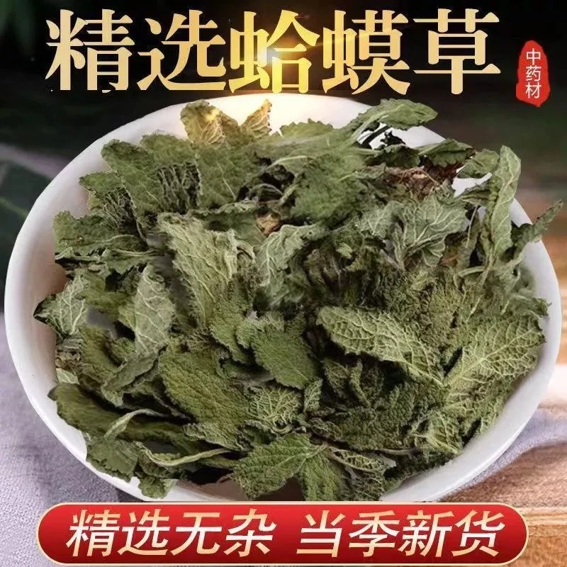 蛤蟆草 癞蛤蟆草 癞蛤蟆新鲜整颗嫩草泡水荔枝草可搭姜250g