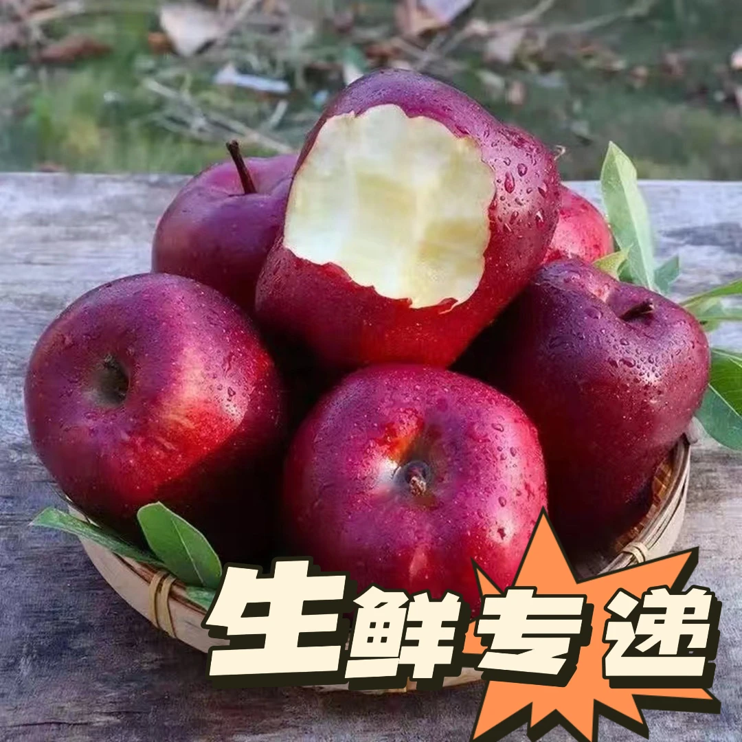 正宗甘肃天水花牛苹果蛇果自然成熟现摘现发脆粉两吃新鲜采摘