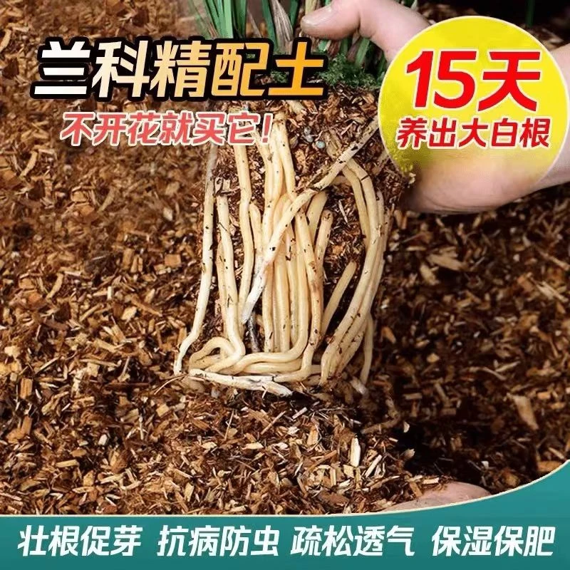 兰花专用质料 基地原盆质料