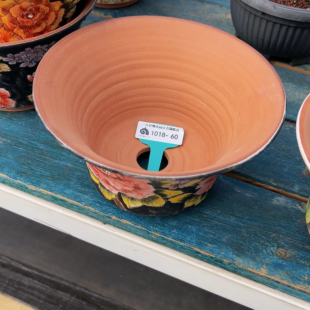 云多肉一物一拍编号1018-60