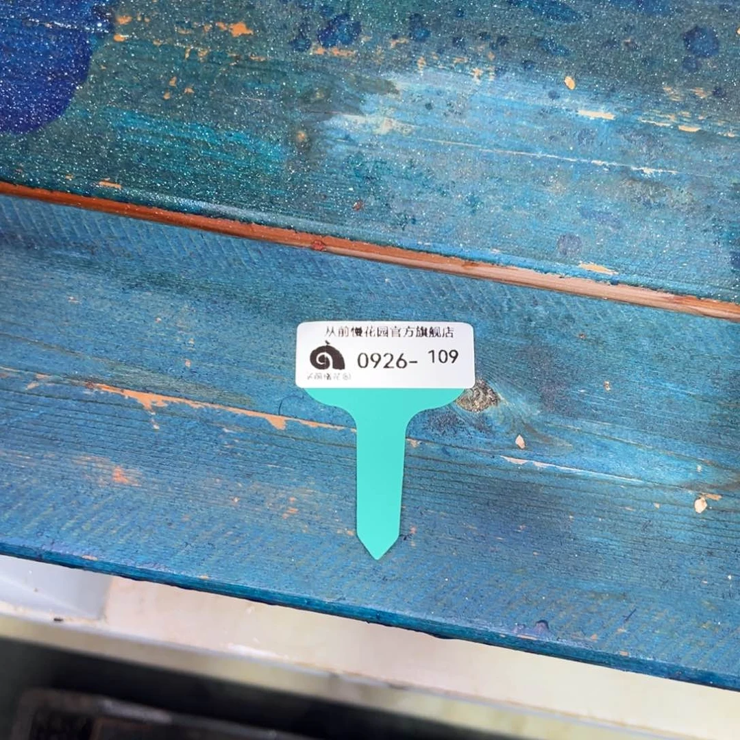 多***多从前慢多肉精选编号0926.109盆