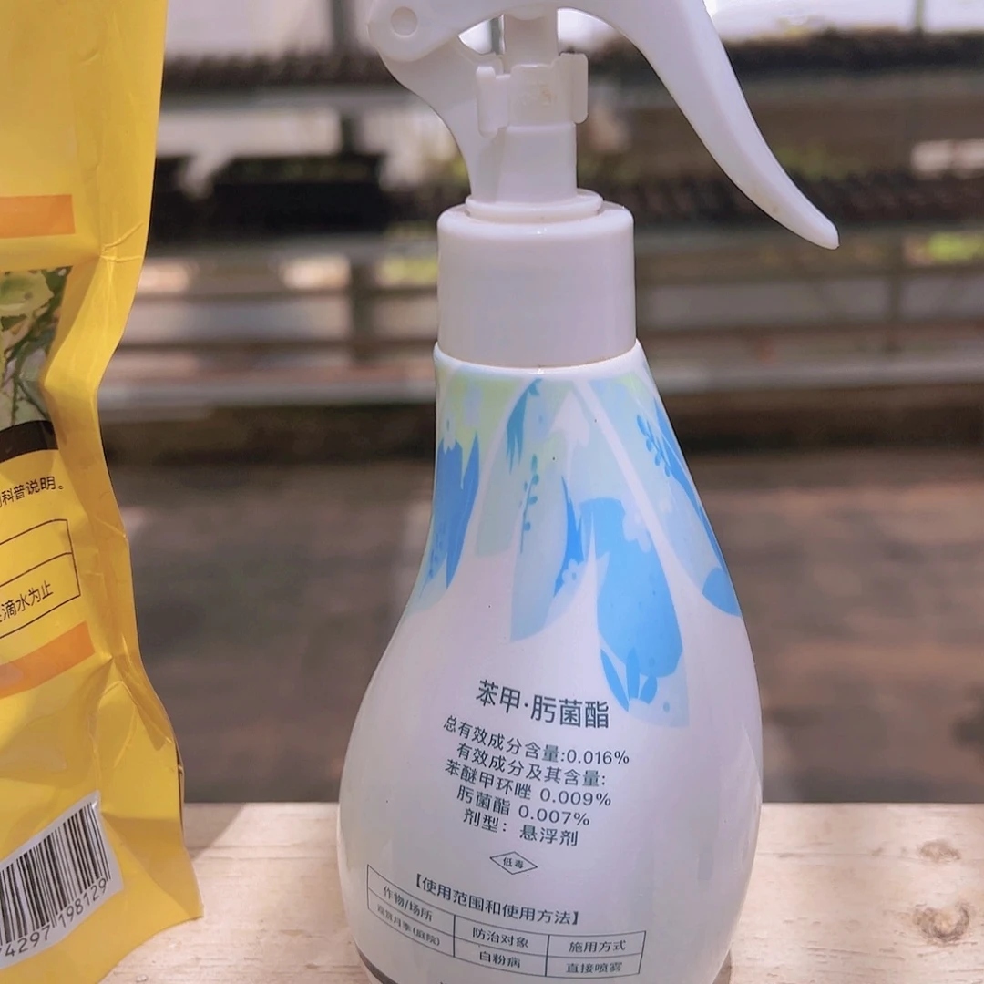 花枝俏精品多肉编号0827-