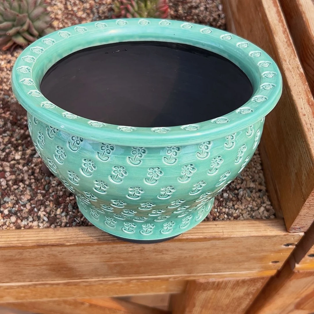 多肉编号1016-212